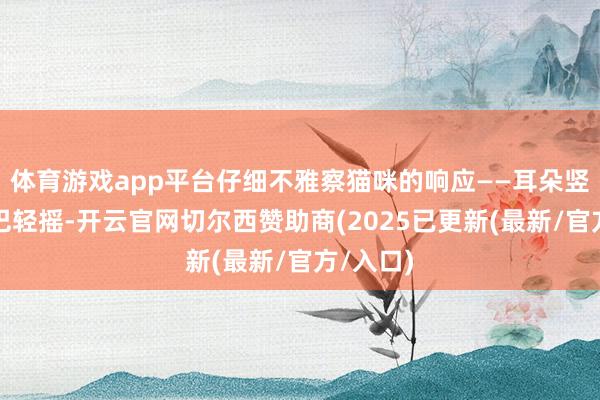 体育游戏app平台仔细不雅察猫咪的响应——耳朵竖起、尾巴轻摇-开云官网切尔西赞助商(2025已更新(最新/官方/入口)