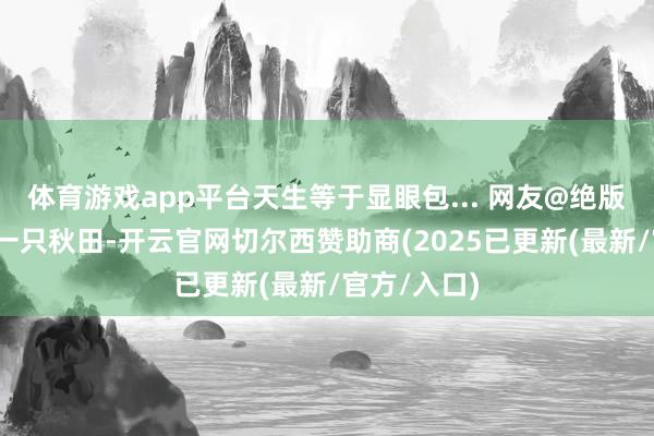 体育游戏app平台天生等于显眼包... 网友@绝版豆包-养了一只秋田-开云官网切尔西赞助商(2025已更新(最新/官方/入口)