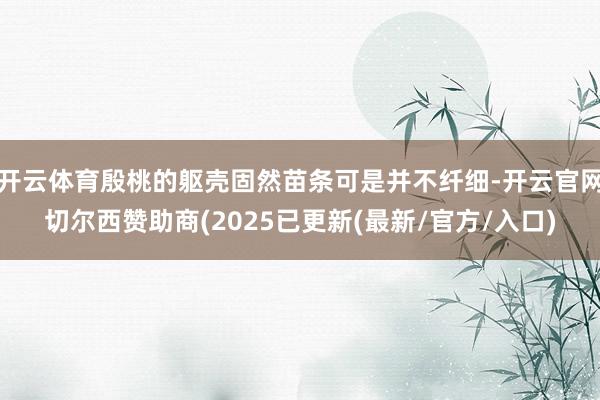 开云体育殷桃的躯壳固然苗条可是并不纤细-开云官网切尔西赞助商(2025已更新(最新/官方/入口)