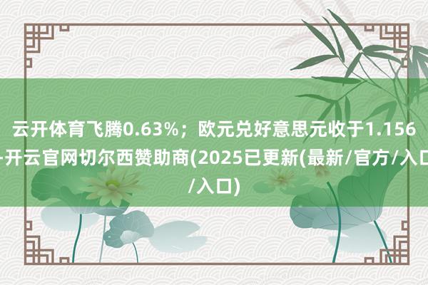 云开体育飞腾0.63%；欧元兑好意思元收于1.1564-开云官网切尔西赞助商(2025已更新(最新/官方/入口)
